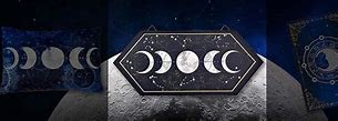 Image result for Moon Moon Party Animals