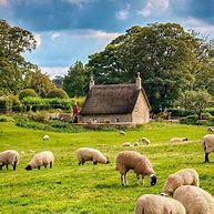 Image result for Beautiful Irish Countryside