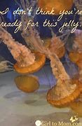Image result for Jellyfish Meme