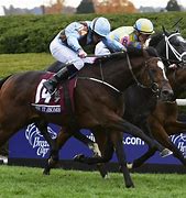 Image result for Breeders' Cup Winners
