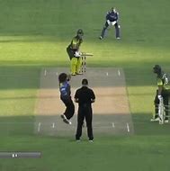 Image result for Cricket 4 GIF