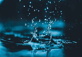 Image result for Splash Wallpaper App