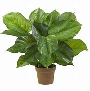 Image result for Artificial Green Leaves