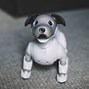Image result for Aibo No Shell
