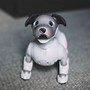 Image result for Aibo Panda