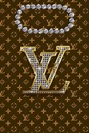 Image result for LV iPhone 13 Case