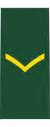 Image result for Canadian Armed Forces Markings