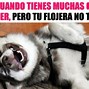 Image result for Perro Feliz Meme