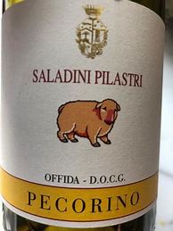 Image result for Saladini Pilastri Offida Pecorino