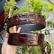 Image result for Alligator Belts Men