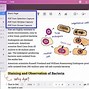 Image result for What Is a PDF File