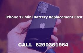 Image result for iPhone BatteryType