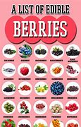 Image result for Different Types of Berries List