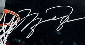 Image result for Michael Jordan Signature Dunk