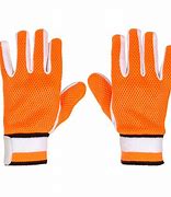 Image result for Cricket Gloves Batting