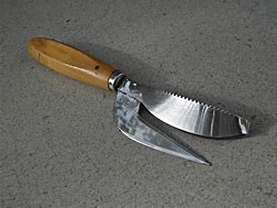 Image result for Fish Cleaning Knife