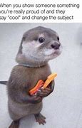 Image result for Disappointed Otter Meme