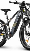 Image result for 750W Electric Bikes for Adults