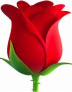 Image result for Rose iPhone Emoji