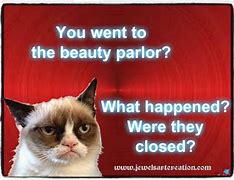 Image result for Alice in Wonderland Cheshire Cat Memes