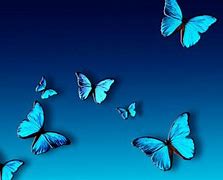 Image result for Aqua Blue Background Butterflies