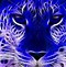 Image result for Neon Blue Cheetah Print