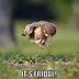 Image result for Awesome Friday Meme