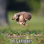 Image result for Celebrate Friday Meme