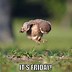 Image result for Friday Excitement Meme