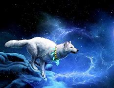 Image result for Galaxy Wolf Dragon