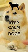 Image result for Doge Meme