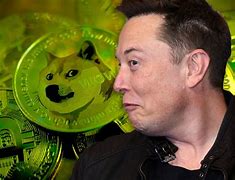 Image result for Elon Musk Dogecoin
