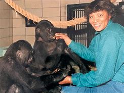 Image result for Black Zookeeper
