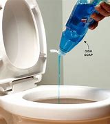 Image result for Products to Unclog Toilet