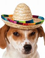 Image result for Taco with Sombrero Mexican Meme