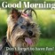Image result for Good Morning to a Beautiful Day Meme