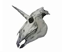 Image result for Unicorn Skull