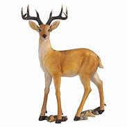Image result for Resin Deer Garden Statues