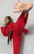 Image result for Popular Martial Arts Styles