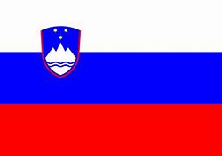 Image result for Small Slovenia Flag