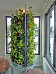 Image result for Aquaponic Vertical Vegetable Garden