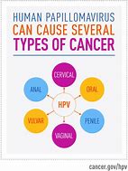 Image result for The Human Papillomavirus HPV Causes