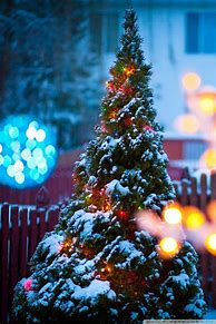 Image result for Christmas iPhone Wallpapers HD