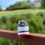 Image result for Adidas Tour 360 Golf Shoes
