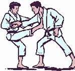 Image result for Do-Karate