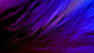 Image result for Dark Purple Textured Background