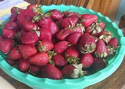 Image result for One Strawberry