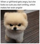 Image result for Funny Memes About Random Stuff