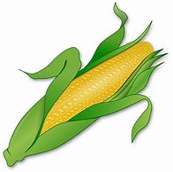 Image result for Corn Clip Art