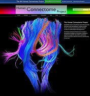 Image result for Human Connectome Project